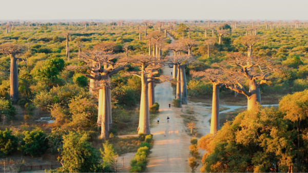 địa điểm du lịch nước ngoài tại Cộng hòa Madagascar - Đảo quốc nằm trên Ấn Độ Dương.